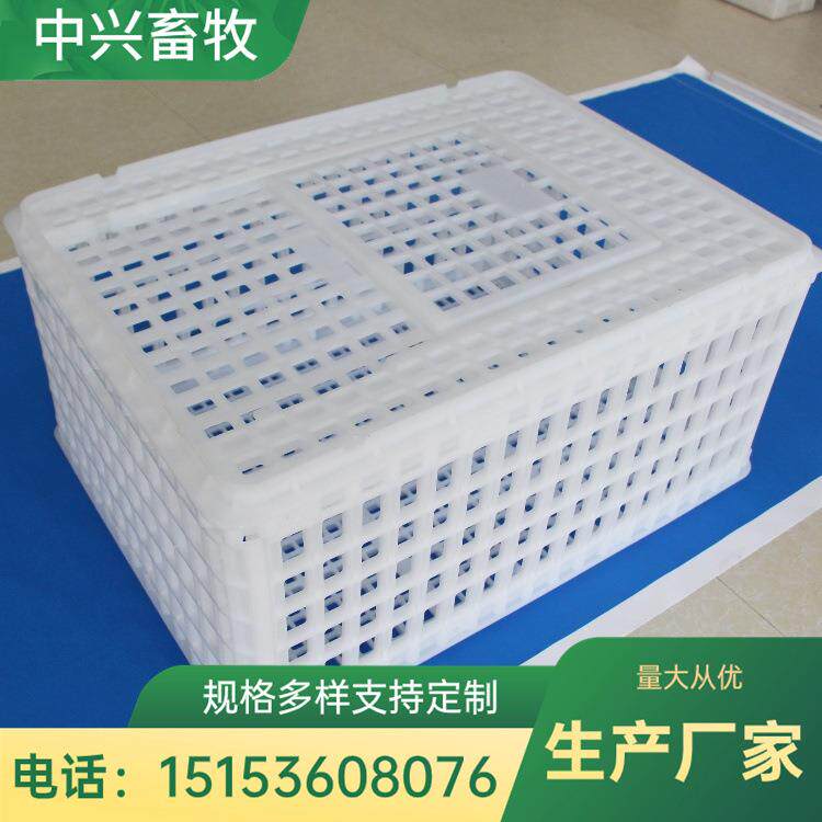 活禽运输筐厂家 加大加厚塑料运鸡筐 拉鸡运鸡筐加厚抗摔毛鸡笼子