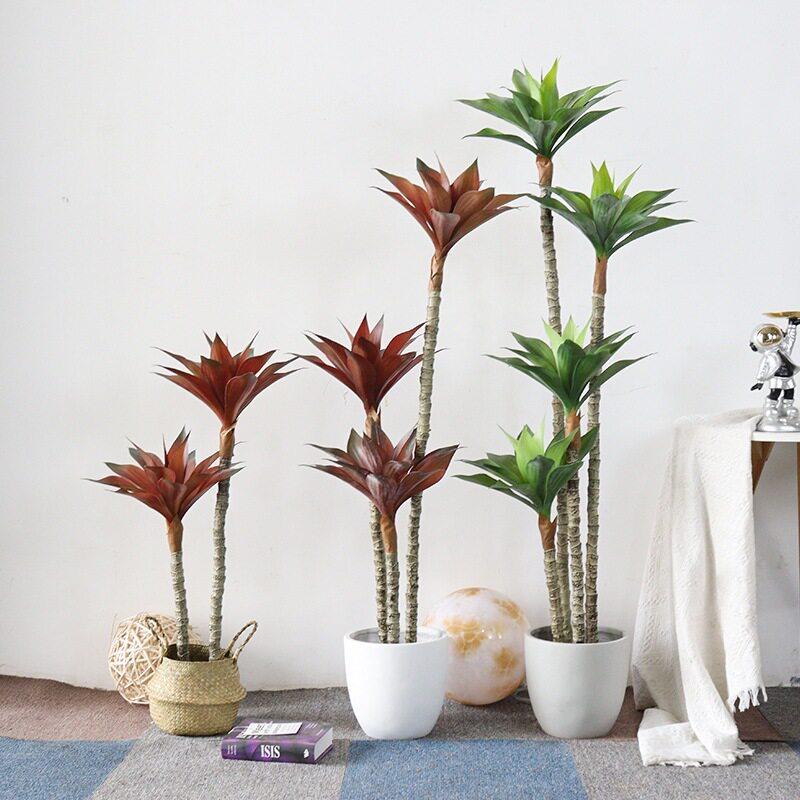 落仿真绿植盆栽龙兰假植物绿植公血室树大QS-2011型沙漠风造景地