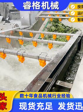 厂家供应果蔬气泡清洗机 草莓喷淋式清洗机设备 圣女果清洗机