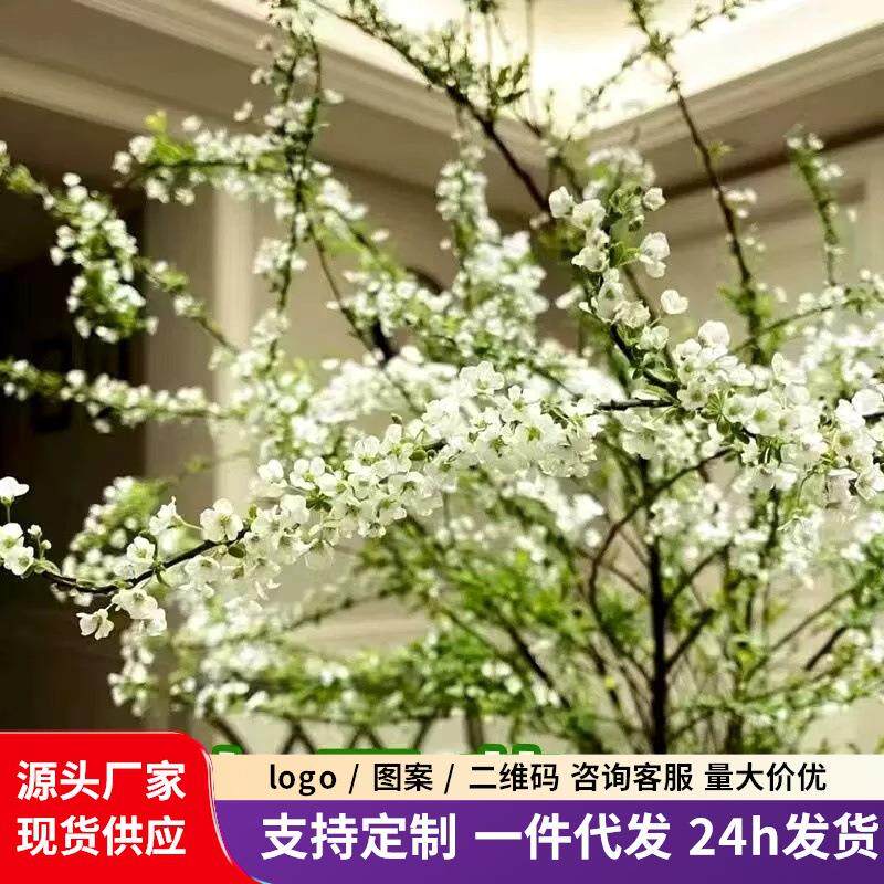 雪柳干枝花卉水培耐寒水养泡水盆栽绿植花卉遇水开花清香插花植物