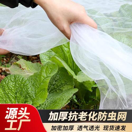 抗老化片材防虫网60目纱网大棚果园防蚊网围网防虫网罩防鸟网