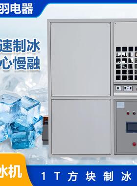 广东创羽工业用日产1吨方块制冰机大型颗粒制冰机食品小冰块机