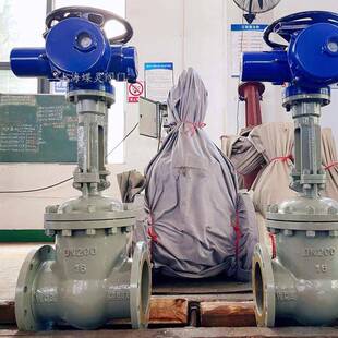 DN250矿用防爆型电动闸阀MA煤安隔爆型带485通讯 闸阀 Z941H