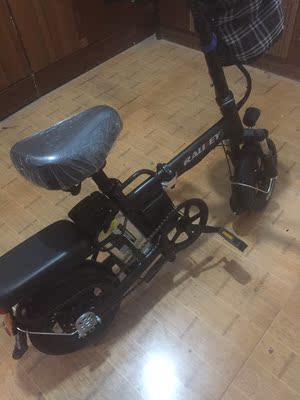 盘点报告:RALDEY电动自行车使用4个月心酸经历曝光！买了不后悔