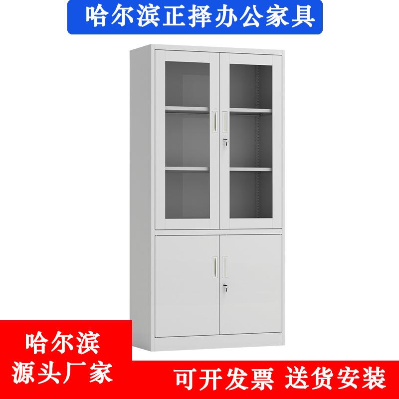 哈上尔玻璃54634门文滨柜资料柜落地档案柜隔板下可调加厚件冷轧