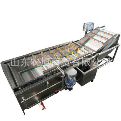 小油菜菠菜气泡清洗机叶类菜清洗设备喷淋式清洗毛豆豌豆荚清洗