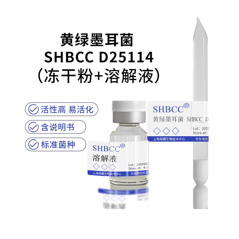 黄绿墨耳菌冻干粉促进诱导白木香树泌脂结香沉香菌种PDA28度活化