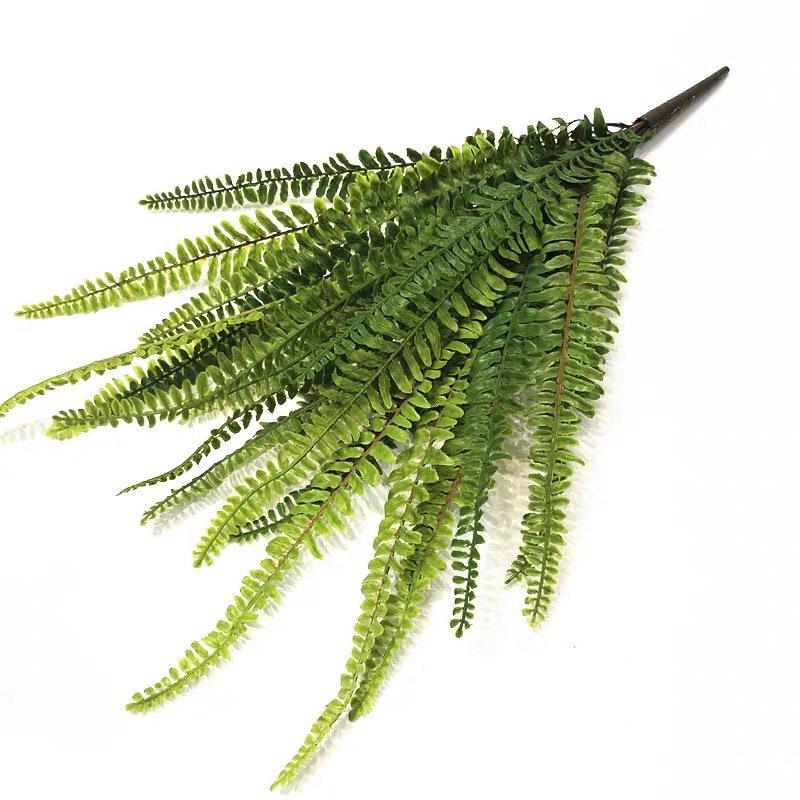 新款直销仿真21片波斯蕨假狼蕨仿真波斯草仿真蕨叶植物墙把束仿真