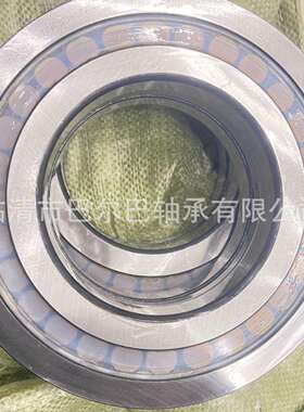 高精密满滚子 NNF50-1263-120-V-C5-CE05 圆柱滚子轴承