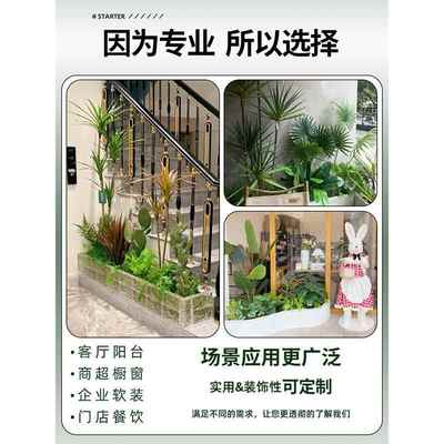 楼梯造景空068间转角仿真物植盆栽假树室内绿景观植造景装下饰布