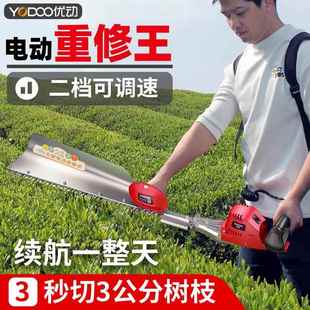 重修充电式 无刷电动绿率篱机大功粗锂枝修剪机绿修篱枝QTW机园林