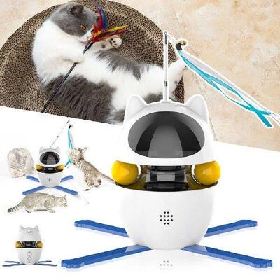 Smart Activity Station For Cat Indoor Electronic Cat