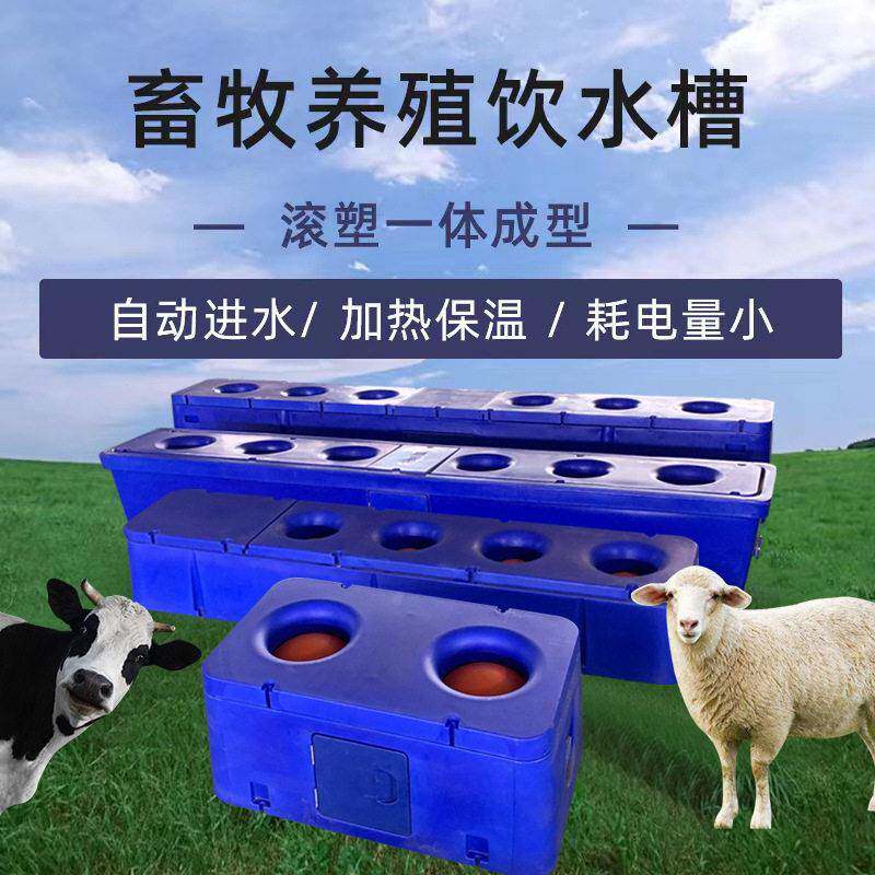 奶牛肉牛饮水槽加热保温恒温6个喝水孔牛场