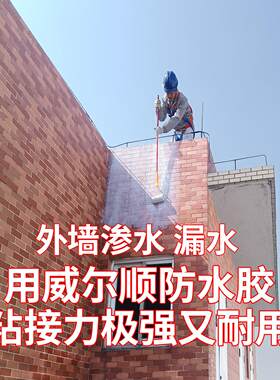 威尔顺建筑外墙马赛克磁砖表面防水胶补漏涂料真石漆外墙渗水漏水