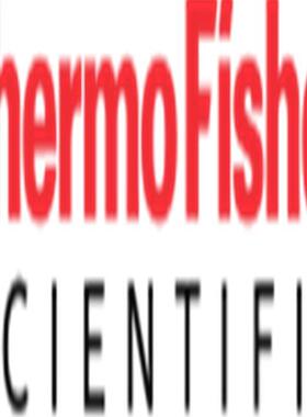 Thermo赛默飞29001312衬管密封垫圈用于TRACE系列SSL进样口