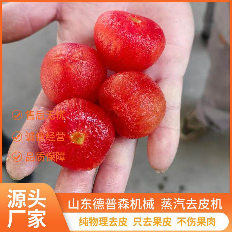 番茄蒸汽去皮不流汁商用果蔬去皮机桃子快速脱皮机