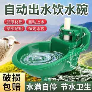 羊用饮水碗塑料羊用自动饮水器养羊喂水喝水碗羊舍饮水槽养殖设备