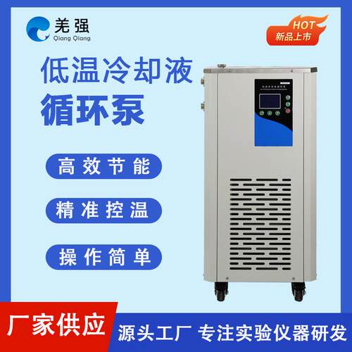 低温冷却液循环泵DLSB型实验室低温冷水机泵低温冷却液循环装置