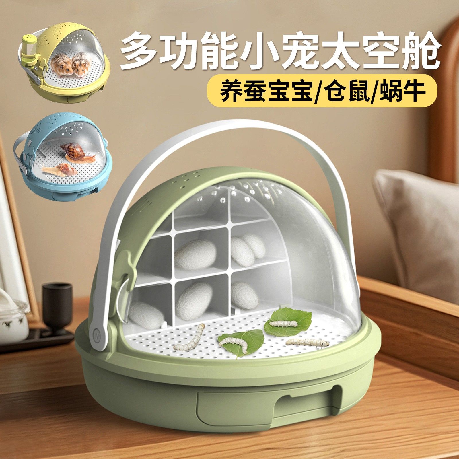 蚕宝宝科学儿童养蚕套装养殖养育观察饲养活物新鲜太空舱蚕卵桑叶