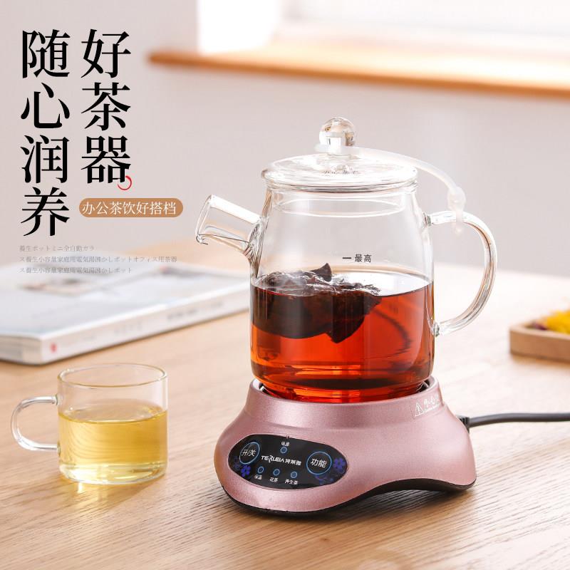 全玻璃迷你养生壶 0.6L小容量家用分体式煮茶壶 特莱雅品牌