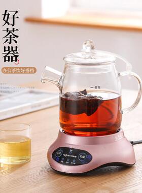 全玻璃迷你养生壶 0.6L小容量家用分体式煮茶壶 特莱雅品牌
