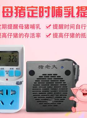 母猪定时哺乳提醒器小猪定时喂奶畜牧养殖器械仔猪喂奶提醒