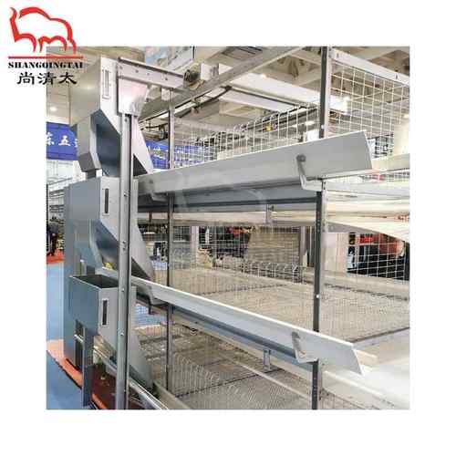 雏鸡笼 小鸡饲养笼子 小鸡育雏笼 自动饲喂系统 畜牧养殖设备