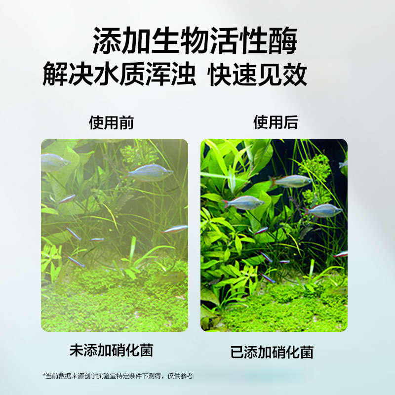 创宁硝化菌消化细菌养鱼水质净化剂净水稳定剂硝化细菌鱼缸用