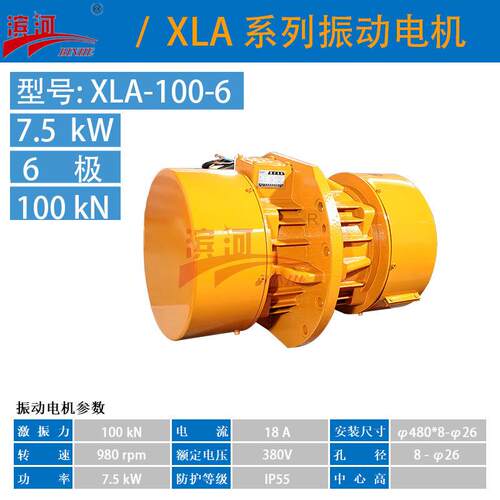 X/XLB-100-6系列振动电机侧板安装法兰式