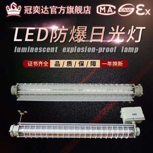 LED防爆灯荧光灯隔爆型单管双管车间厂房仓库灯罩灯管日光支架灯