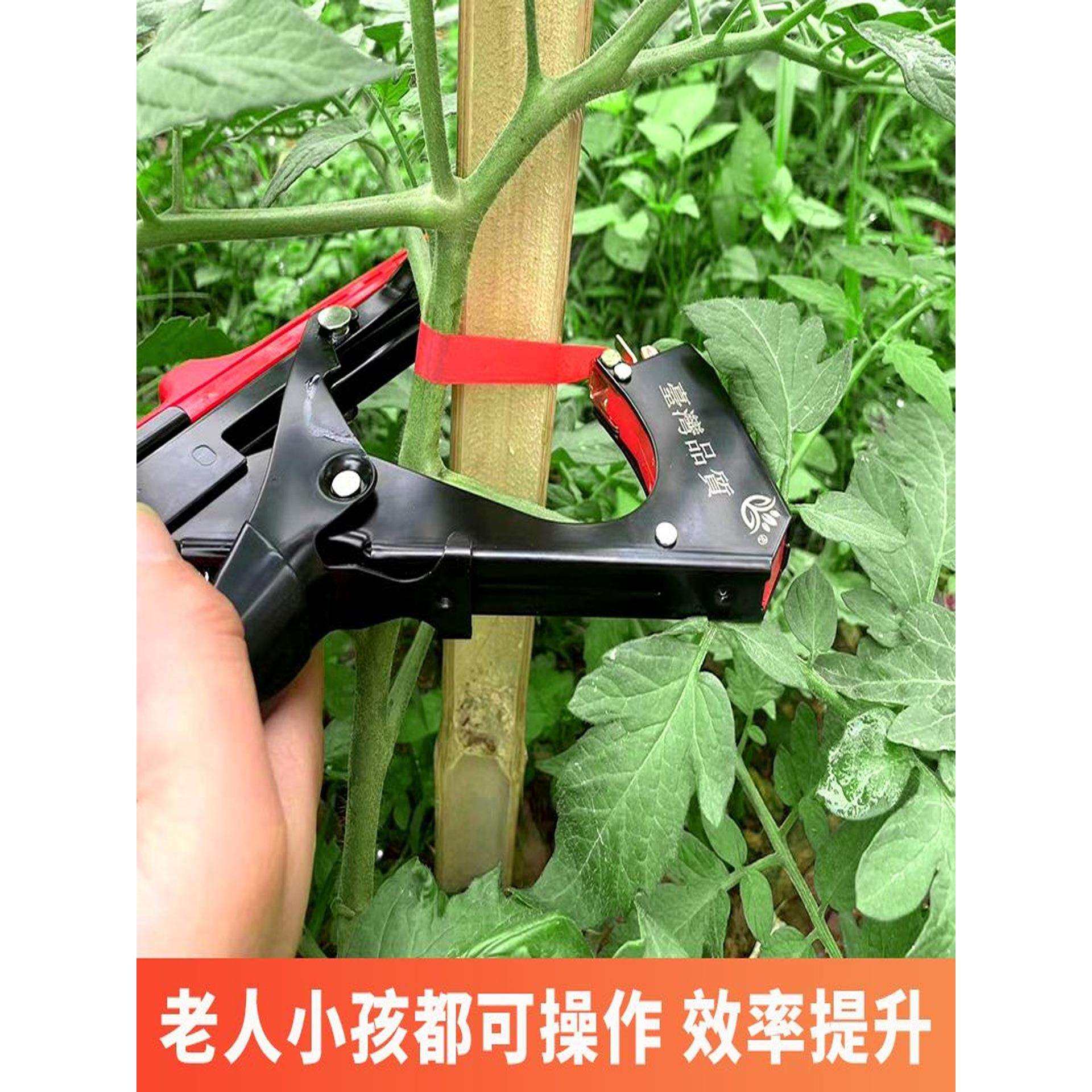 葡萄绑枝机新款西红柿番茄黄瓜扎枝机绑扎神器绑蔓夹子果树绑枝器