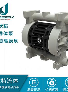 DEBEM 迪贝泵 电子浆料输送泵 IB50-FCMTTFT-T