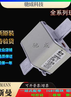 巴斯曼170M6889 170M6890 170M6891 厂家直供零售 原装熔断器