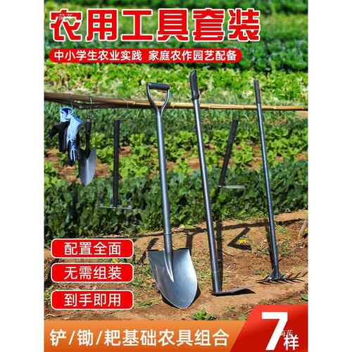 锄农具全家无品牌/用种菜工具套装头践铲子铁大锹耙子农用学生农