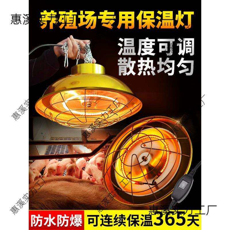 保温灯养殖场专用卤素猪仔育雏灯罩小猪暖灯取暖灯保温灯泡加热灯