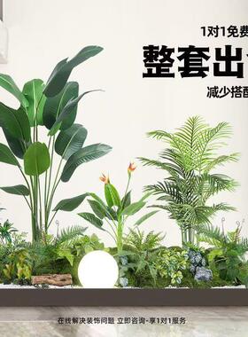 彷真绿色植物造景组合阳台景观布置室内假植物橱窗装饰楼梯拐角造