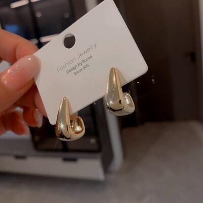 925 Silver Pin Earrings Live with Metal Cold Style INS Piece