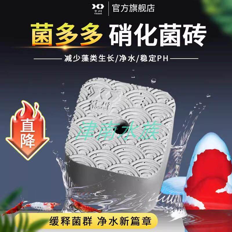 十川菌砖锦鲤池菌方家用水族鱼缸硝化细菌净水魔方持续释放消化菌