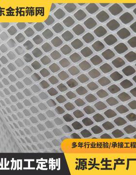 绿色塑料平网养殖网格养蜂养蚕养鱼养鸭养鹅养鸡围栏网阳台防护网