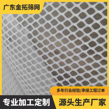 绿色塑料平网养殖网格养蜂养蚕养鱼养鸭养鹅养鸡围栏网阳台防护网