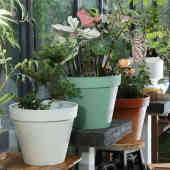 树脂室内家用仿大种树户外陶瓷客厅阳台简约塑料庭院景观号花盆