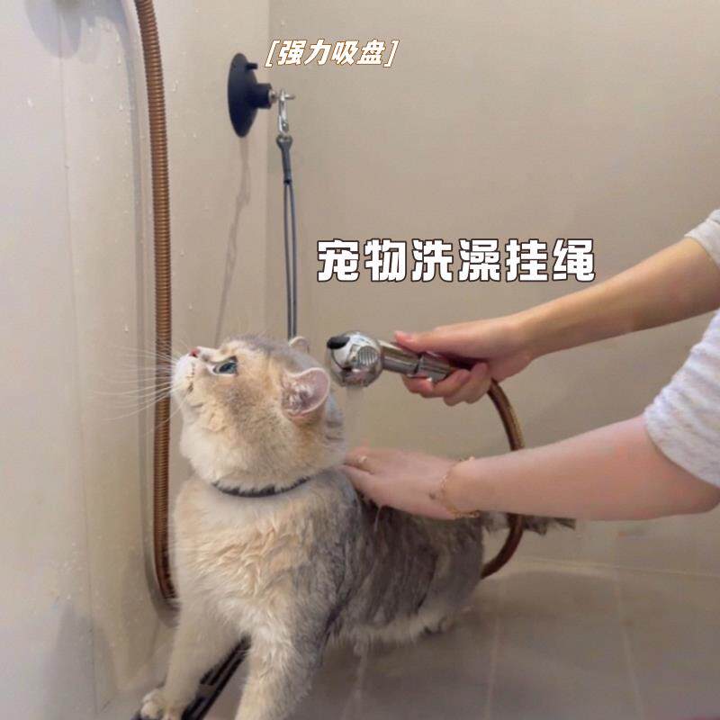猫咪洗澡固定器宠物吸盘固定绳狗狗剪毛美容台吊绳栓狗防跑钢丝绳