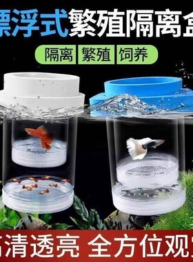 新款隔离盒透明孵化盒孔雀鱼隔离悬浮幼鱼产房鱼苗悬浮式漂浮孵化