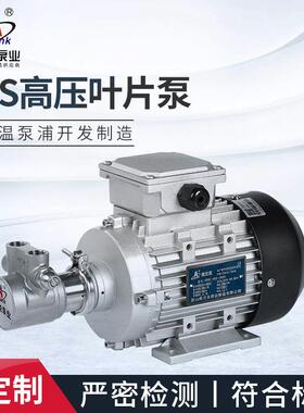 VPS-05-100叶片泵高压泵电动叶片泵厂家供应