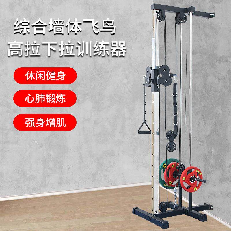 墙体大飞鸟小飞鸟高位下拉宽背肩夹胸肱三头肌综合健身肌肉训练器