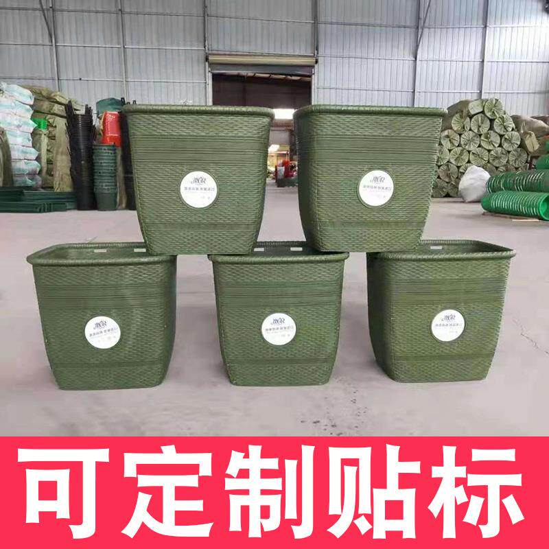 塑料背篓成人大号采摘舞蹈表演道具采茶收纳整理背筐买菜农用背篓
