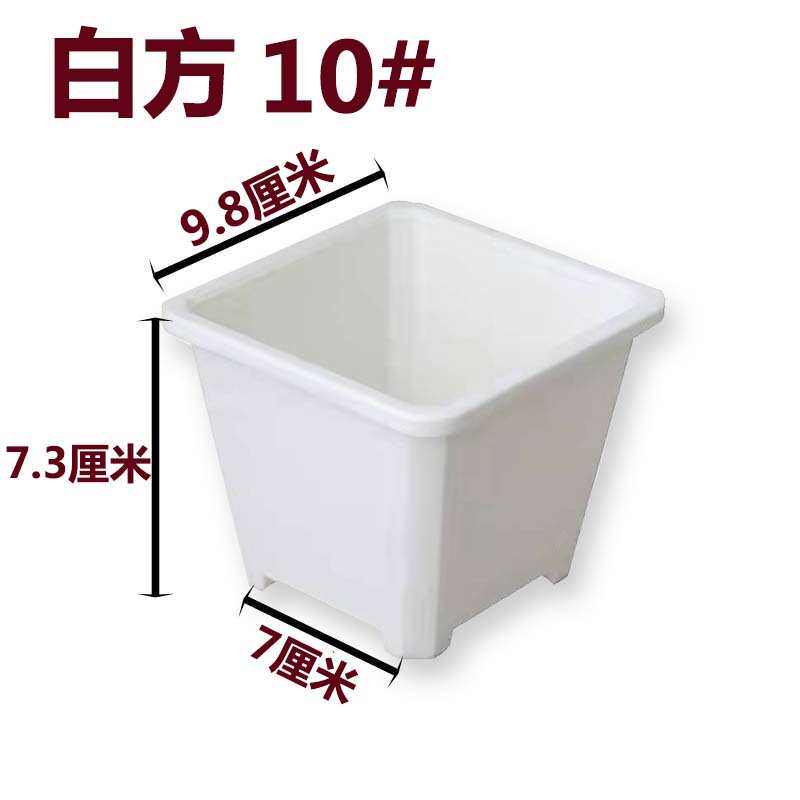 白色批发方盆黑方育苗白方电商花盆景天多黑色盆基地加厚肉盆