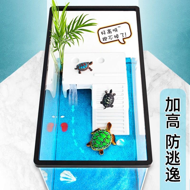 乌龟缸家用造景过滤循环晒台爬台亚克力生态混合养鱼缸小型周转箱