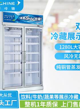 天翔冷链商用饮料柜保鲜冰箱立式双门冰柜风冷士多便利店冰箱