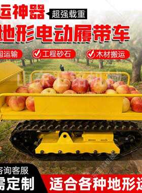 电动汽油履带车全地形遥控履带爬坡王农用工程自卸爬坡搬运车